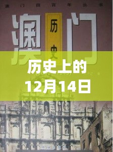 伤弓之鸟 第3页