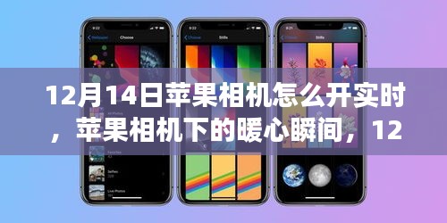 苹果相机暖心瞬间，实时开启之旅（12月14日指南）