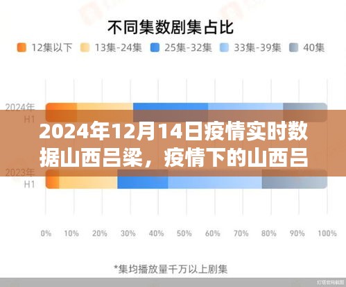 山西吕梁疫情实时数据报告，聚焦疫情下的城市动态（2024年12月14日）