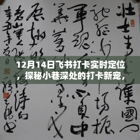 探秘小巷深处的隐藏特色小店，飞书打卡实时定位新体验