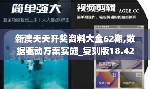 新澳天天开奖资料大全62期,数据驱动方案实施_复刻版18.424