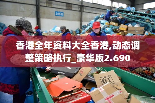 香港全年资料大全香港,动态调整策略执行_豪华版2.690