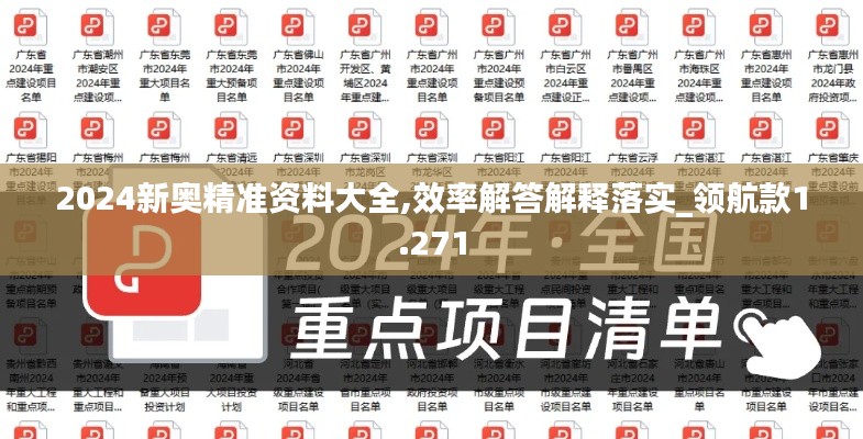 2024新奥精准资料大全,效率解答解释落实_领航款1.271