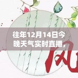 往年12月14日气象之夜，实时天气直播回顾与气象万千的夜晚