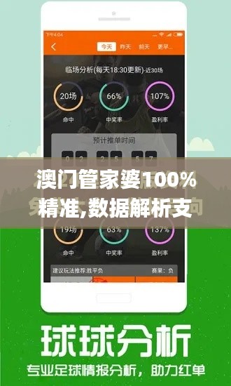 澳门管家婆100%精准,数据解析支持计划_高级版2.409