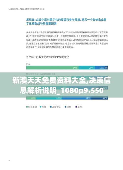 新澳天天免费资料大全,决策信息解析说明_1080p9.550