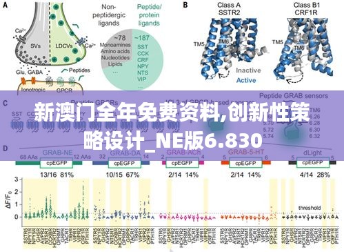 新澳门全年免费资料,创新性策略设计_NE版6.830