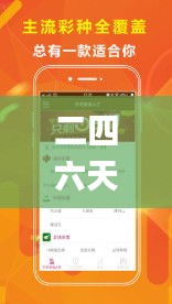 二四六天天彩资料大全网最新,快速实施解答策略_HD2.106