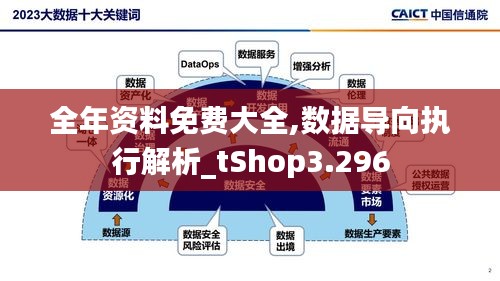 全年资料免费大全,数据导向执行解析_tShop3.296