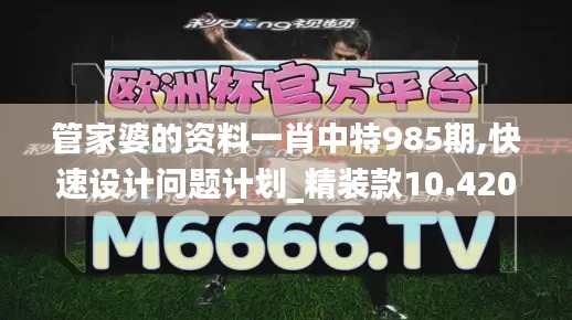 管家婆的资料一肖中特985期,快速设计问题计划_精装款10.420