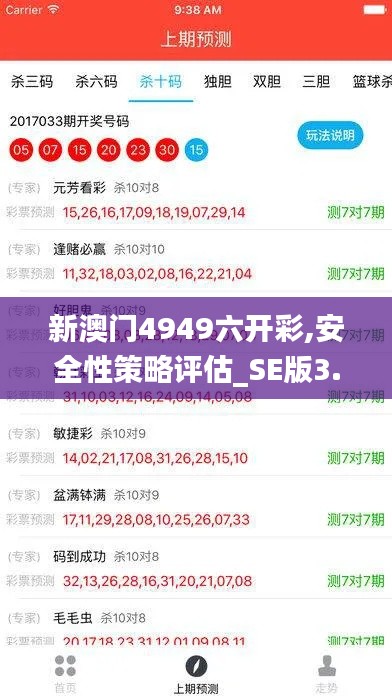 新澳门4949六开彩,安全性策略评估_SE版3.260
