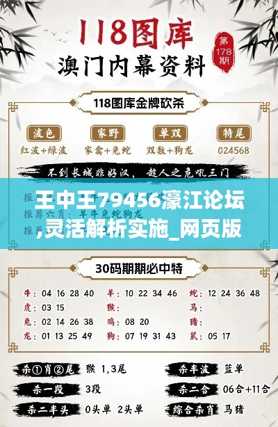 王中王79456濠江论坛,灵活解析实施_网页版1.708