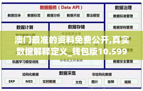澳门最准的资料免费公开,真实数据解释定义_钱包版10.599
