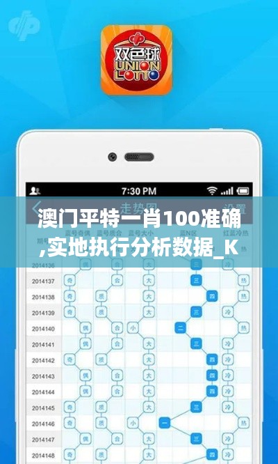 澳门平特一肖100准确,实地执行分析数据_Kindle1.815