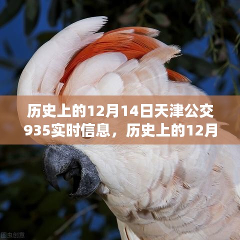 星星打烊 第19页