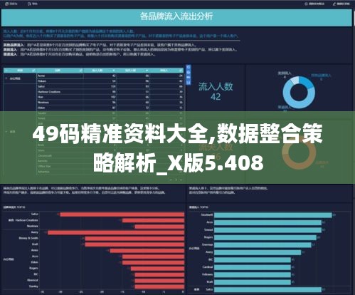 49码精准资料大全,数据整合策略解析_X版5.408