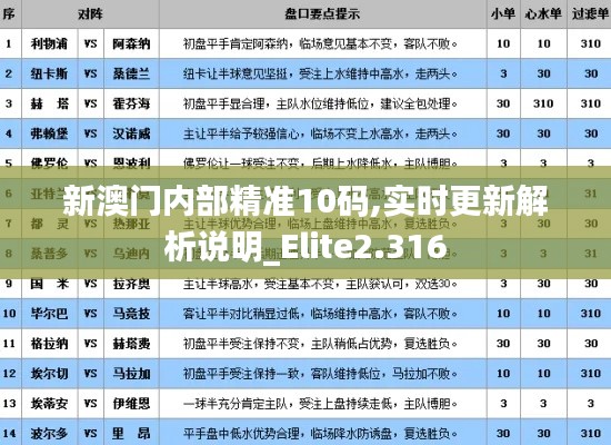 新澳门内部精准10码,实时更新解析说明_Elite2.316