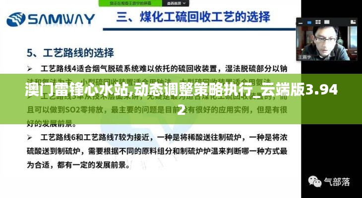 澳门雷锋心水站,动态调整策略执行_云端版3.942