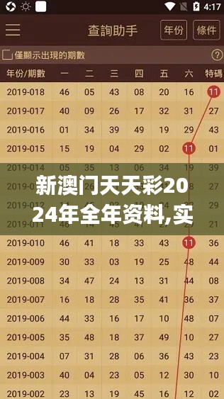 新澳门天天彩2024年全年资料,实地验证策略方案_进阶款2.404