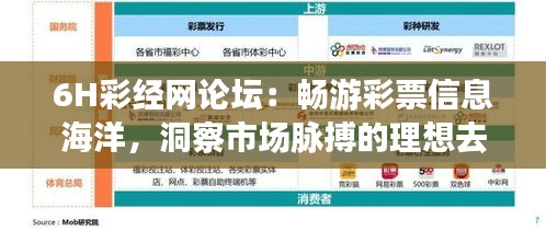 6H彩经网论坛：畅游彩票信息海洋，洞察市场脉搏的理想去处