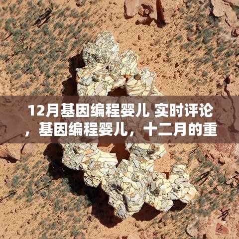 基因编程婴儿，十二月的重要时刻，背景、影响与时代地位的实时评论