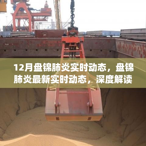 盘锦肺炎最新动态，深度解读12月疫情变化与防控进展，小红书热讯实时更新