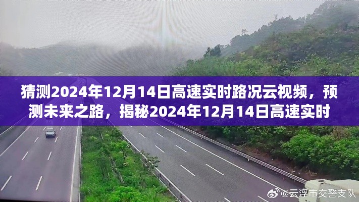 张牙舞爪 第20页
