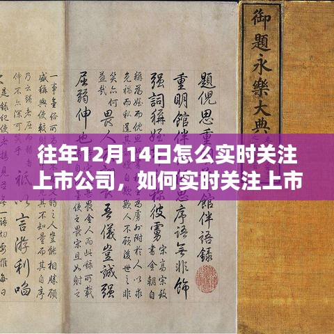 如何实时关注上市公司动态，以12月14日为例的详细步骤与策略指南