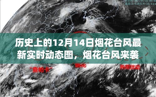 走马观花 第18页
