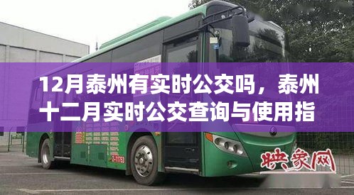 泰州十二月实时公交查询与使用指南