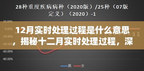 揭秘十二月实时处理过程，深度解读实时数据处理含义、应用与实时性处理流程