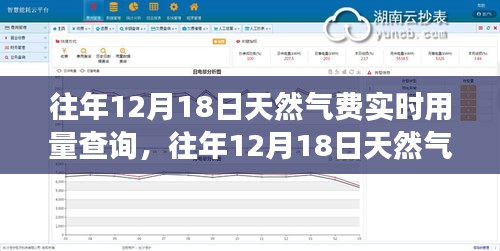 往年12月18日天然气费实时用量查询，高效管理与便捷查询的秘诀