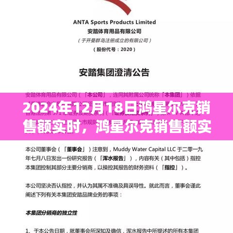 鸿星尔克销售额实时追踪深度解析，产品特性、用户体验与目标用户群体探讨