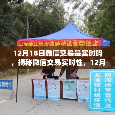 文质彬彬 第17页
