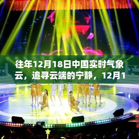 花开无言 第14页
