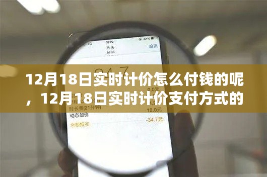 深度探讨，12月18日实时计价支付方式解析与不同观点探析