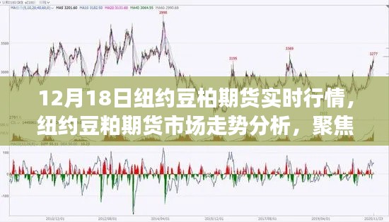纽约豆粕期货市场深度解析，实时行情与多方观点博弈（12月18日）