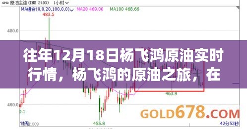 杨飞鸿原油之旅，实时行情下的心灵寻觅与宁静体验