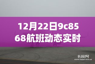 12月22日9C8568航班实时动态查询，起飞与降落之旅探索