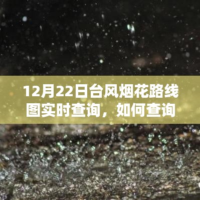 张牙舞爪 第16页