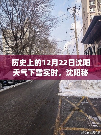 沈阳秘境，历史风雪中的小巷美食探秘——12月22日下雪实时纪实