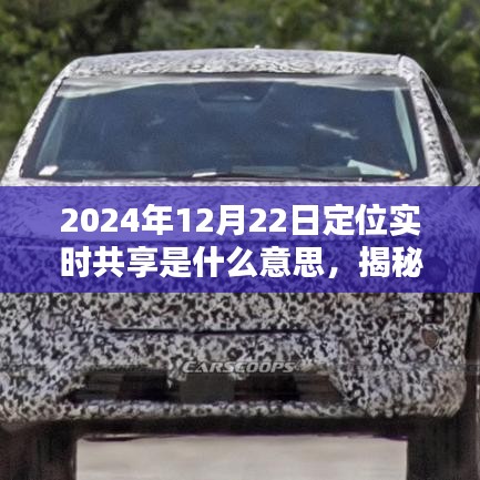 揭秘未来科技新宠，实时定位共享技术，让生活触手可及（2024年）