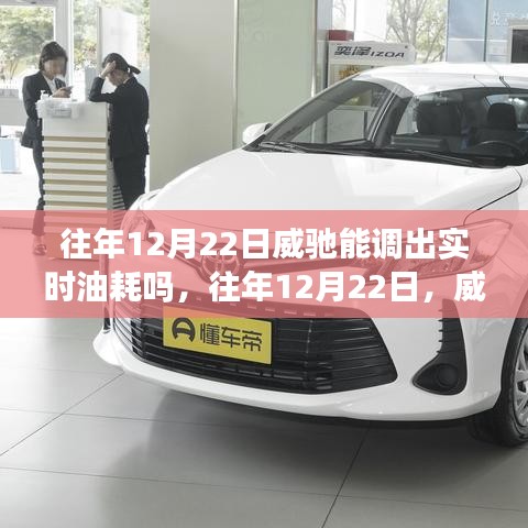 往年12月22日威驰车实时油耗查询功能解析，能否查看实时油耗？