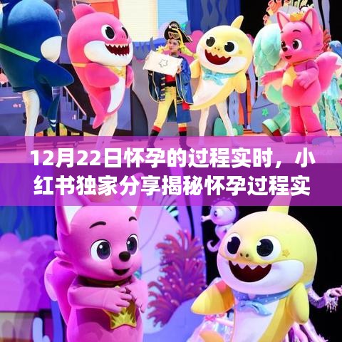 独家揭秘，我在怀孕之旅的实时记录与分享，怀孕过程小红书独家呈现！
