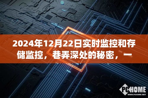 特色小店实时监控与存储之旅，巷弄深处的秘密，2024年深度监控记录揭秘