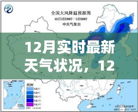 花开无言 第11页