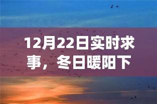 冬日暖阳下的自然之旅，寻找内心平静的冒险之旅
