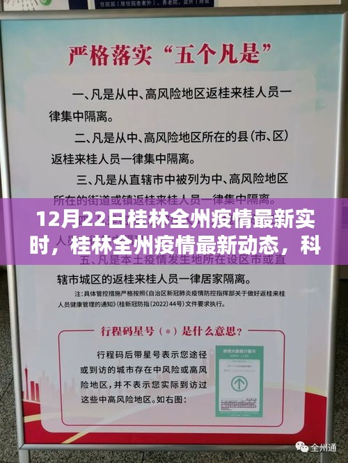 桂林全州疫情最新动态，科技助力实时追踪，重塑生活秩序
