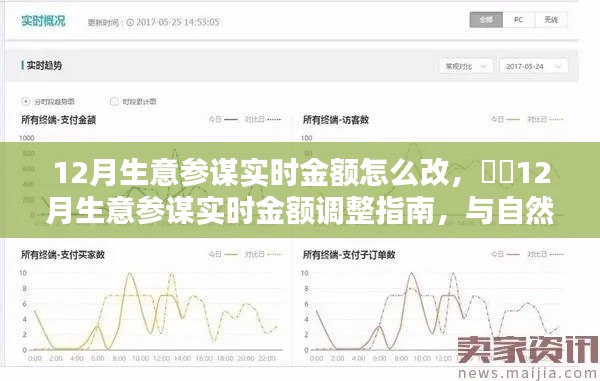 12月生意参谋实时金额调整指南，与自然美景共舞，探索内心宁静港湾的秘籍