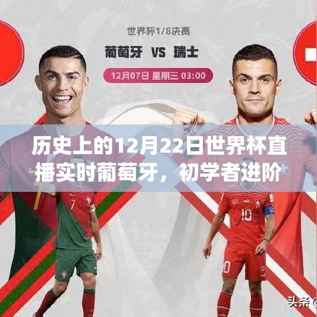 历史上12月22日世界杯直播实时葡萄牙赛事回顾与初学者进阶指南